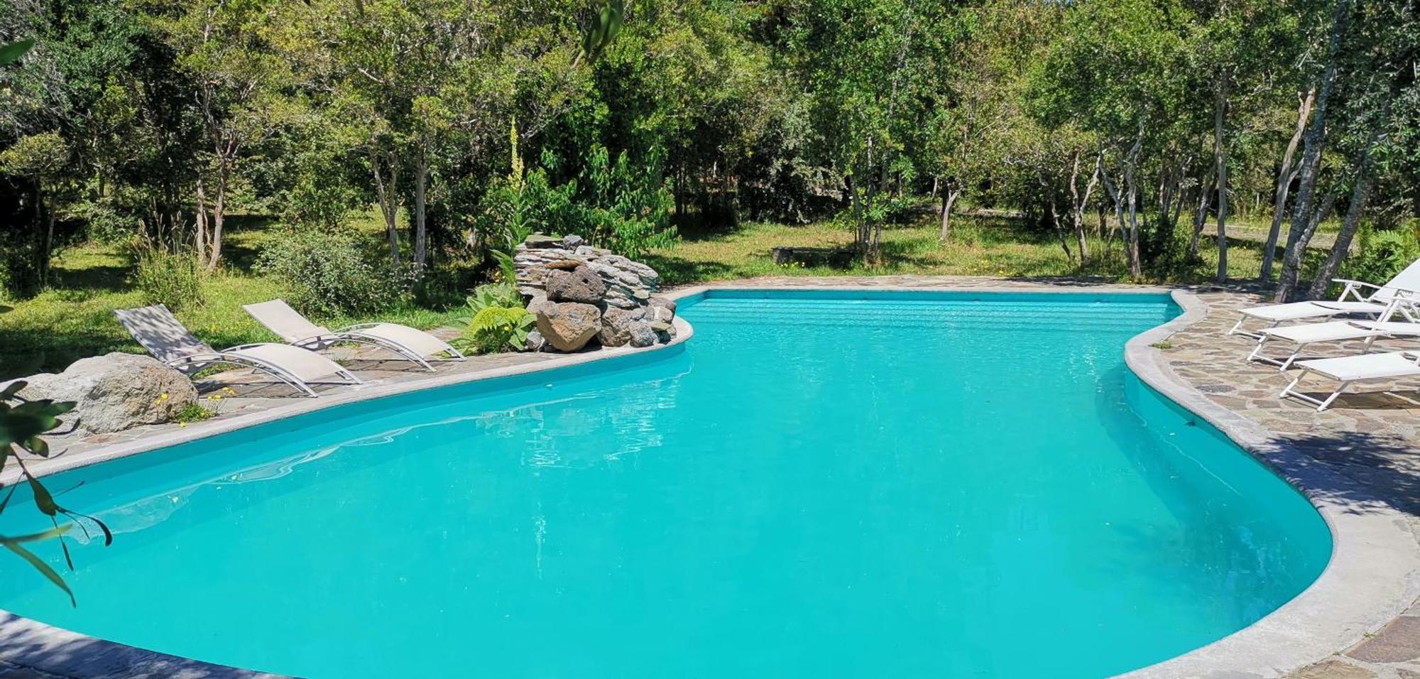 Bambu Lodge Pucón Dış mekan fotoğraf
