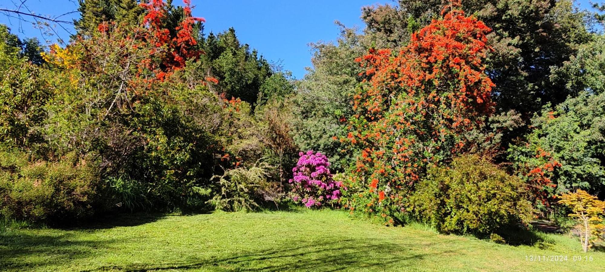 Bambu Lodge Pucón Dış mekan fotoğraf