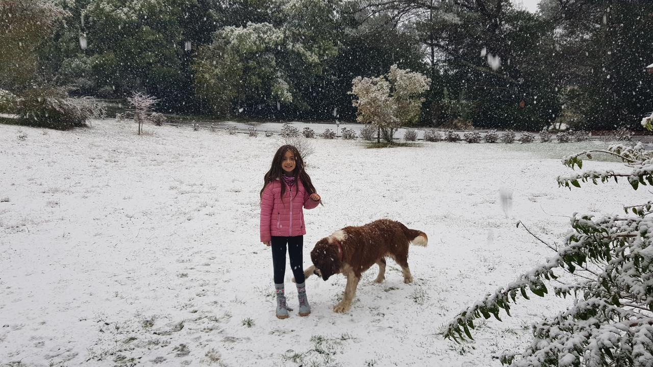 Bambu Lodge Pucón Dış mekan fotoğraf